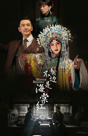 Дорама Зимняя бегония онлайн